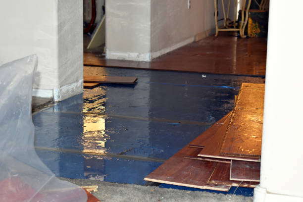 Professional Basement Flood Cleanup technician working in Nazareth, MI